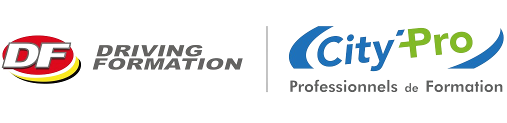 DRIVING FORMATION - logotype